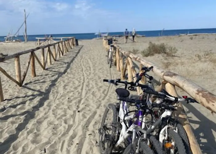 Hotel Torre Matilde Viareggio